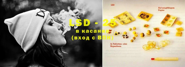 дживик Абинск