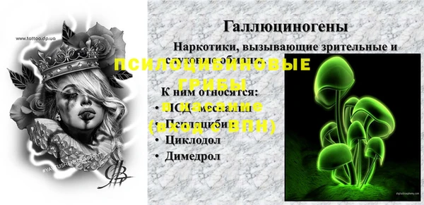 а пвп мука Абаза